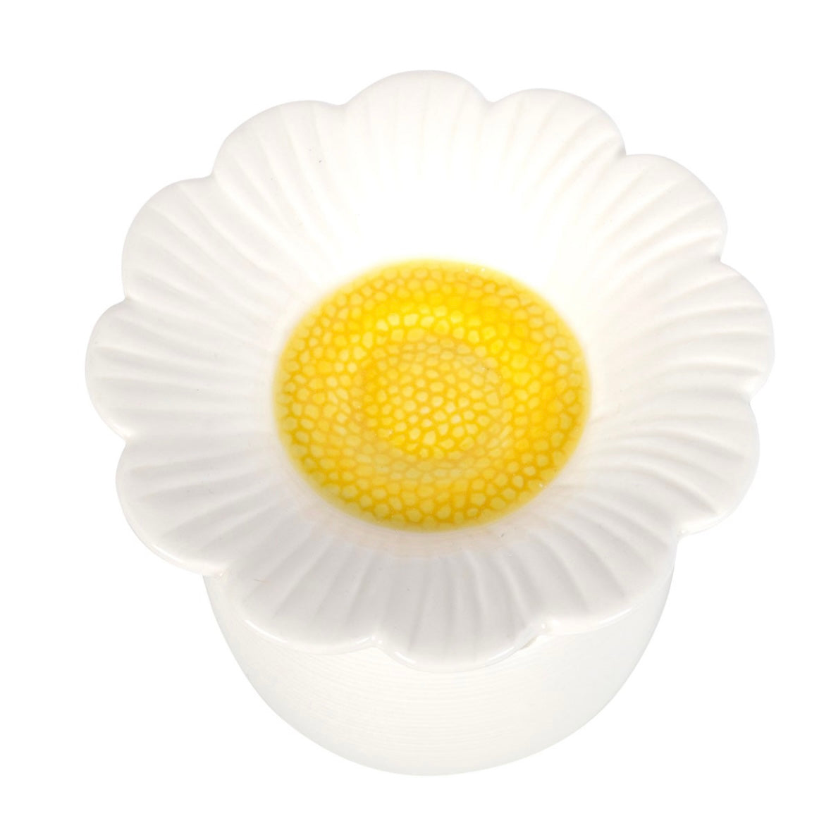 Daisy Brucia Essenze