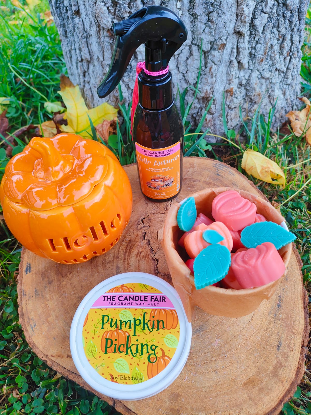 Pumpkin Picking