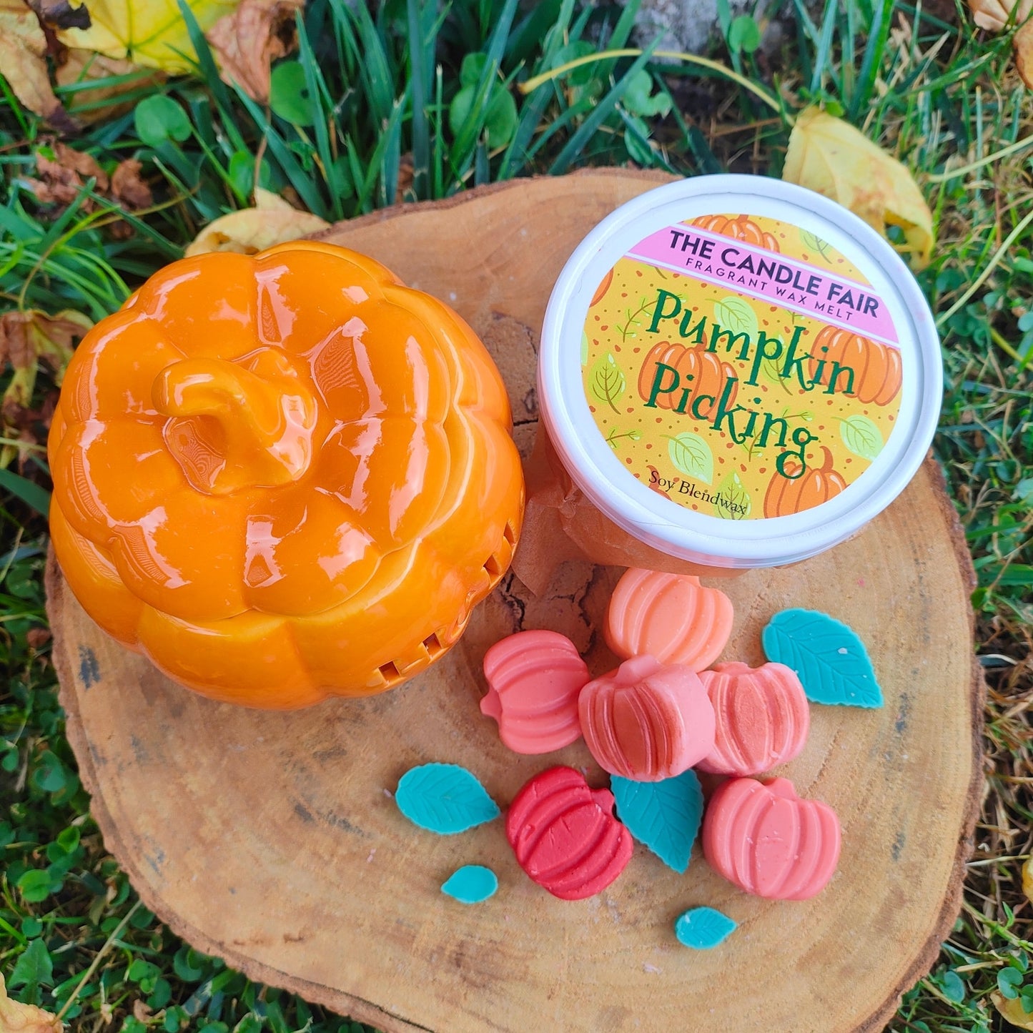 Pumpkin Picking