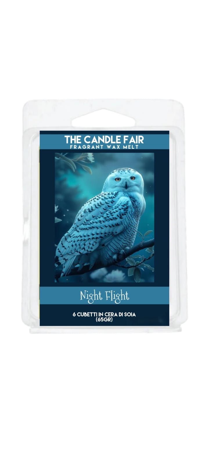 Night Flight