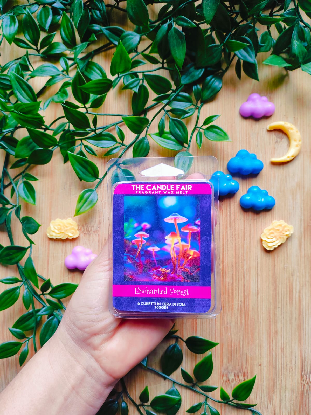 Enchanted Forest