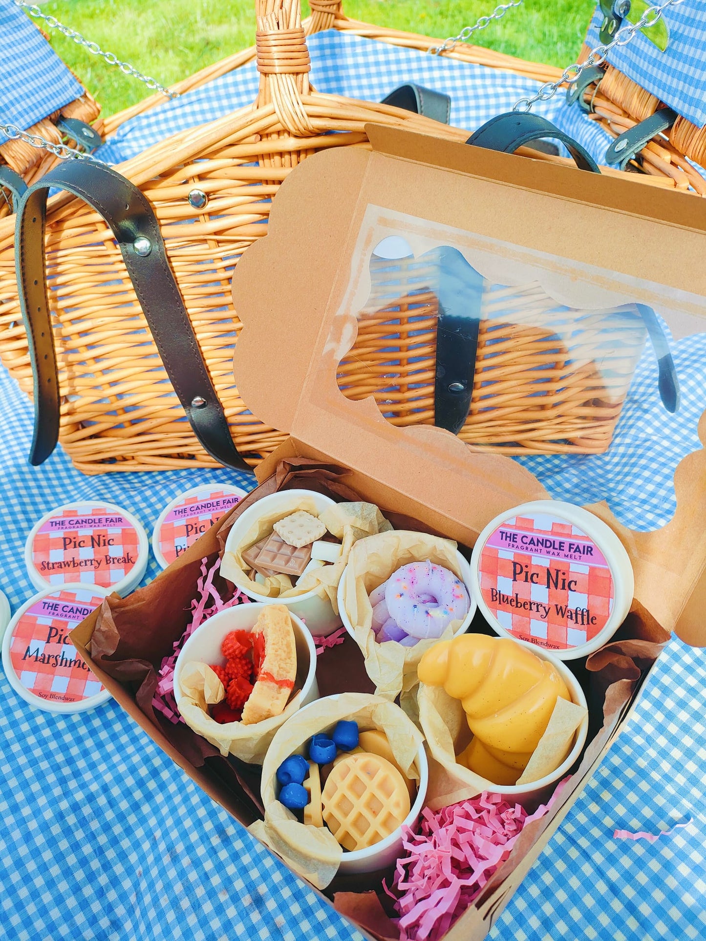 Pic Nic Box