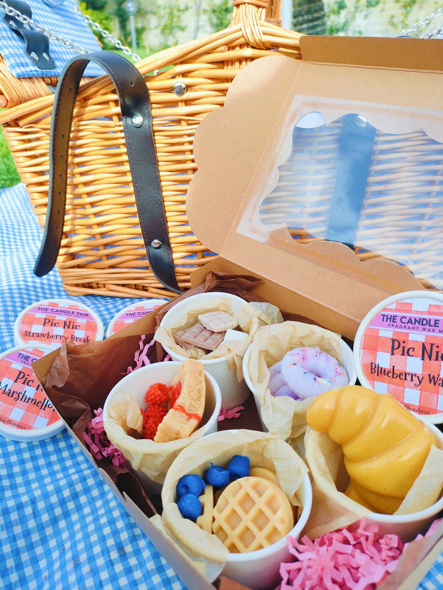 Pic Nic Box