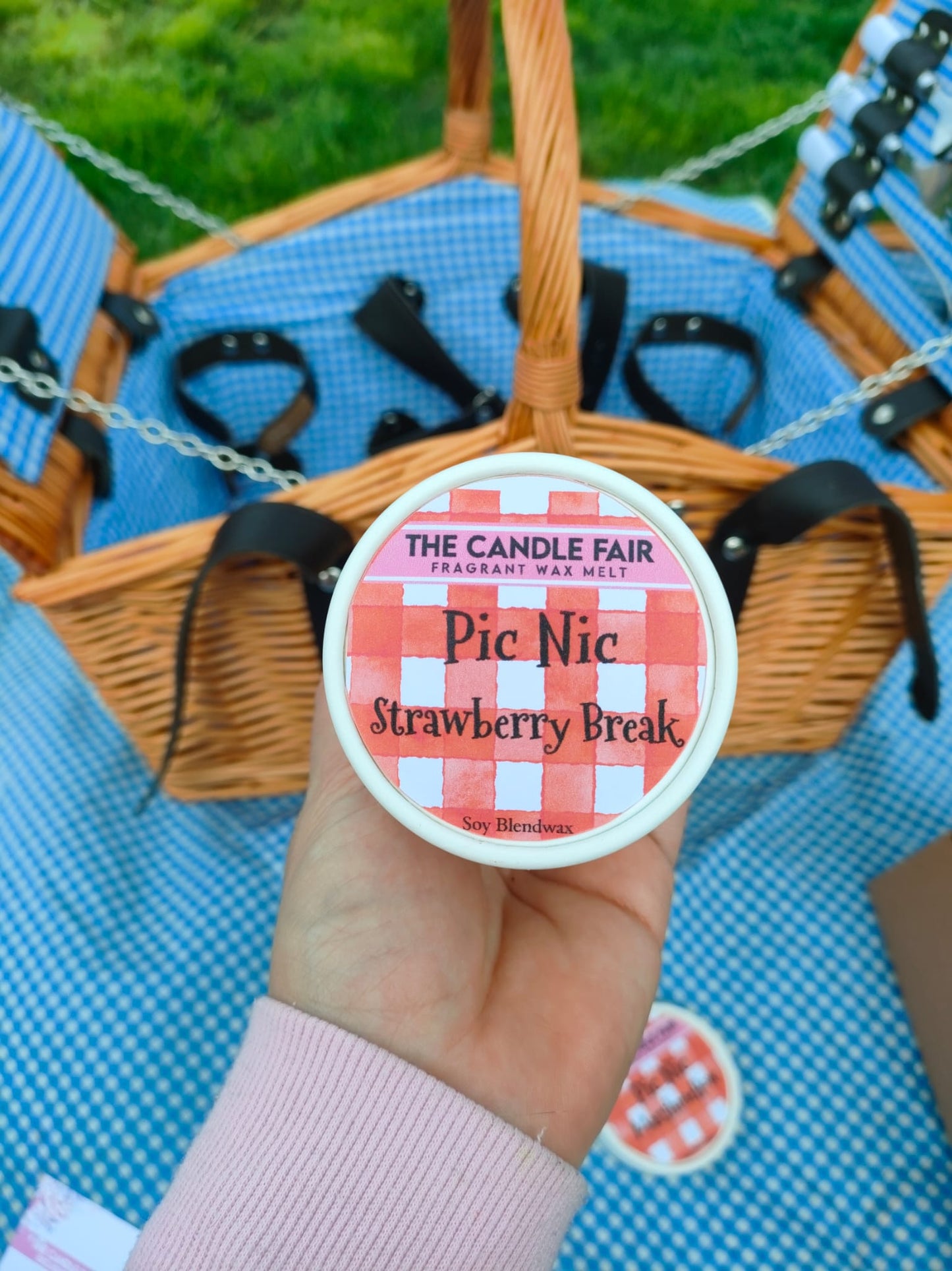 Pic Nic Box