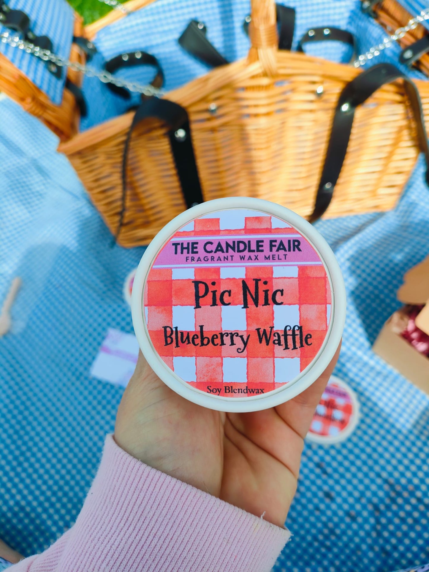 Pic Nic Box