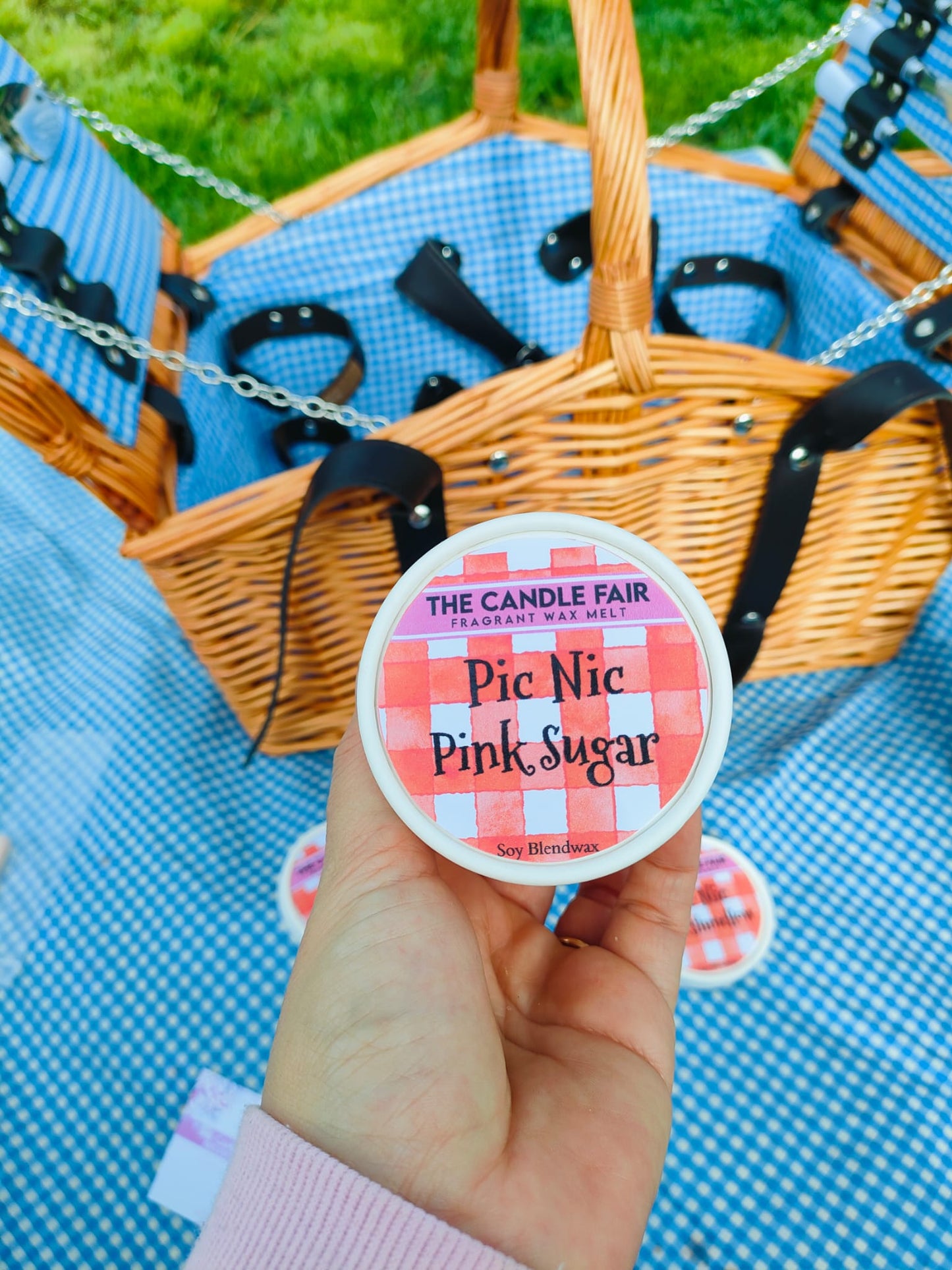Pic Nic Box